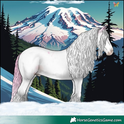 Horse Color:Watercolor White Spotted Brown Splash Tobiano Frame