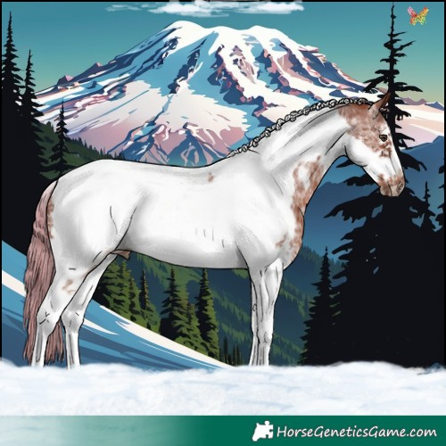 Horse Color:Chestnut Sabino Tobiano Frame 