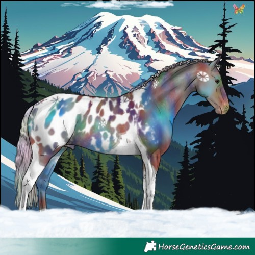Horse Color:Nacre Silver Brown Tobiano Appaloosa Rabicano