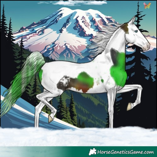 Horse Color:Bay Splash Tobiano Varnish