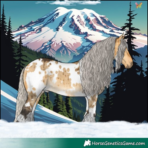 Horse Color:White Spotted Silver Buckskin Dun Brindle 