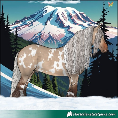 Horse Color:White Spotted Silver Brown Dun