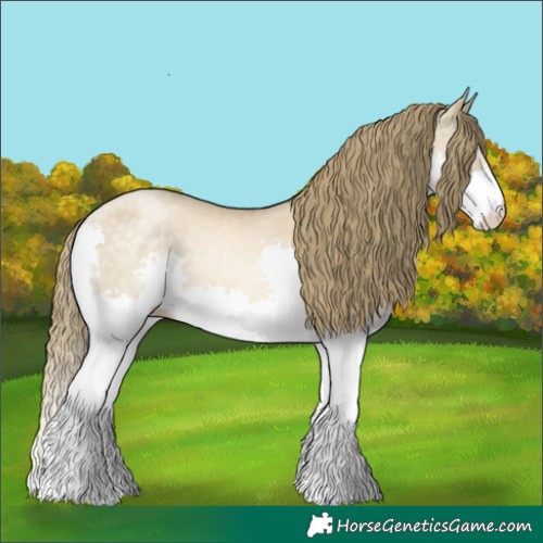 Horse Color:Buckskin Pearl Dun Splash 