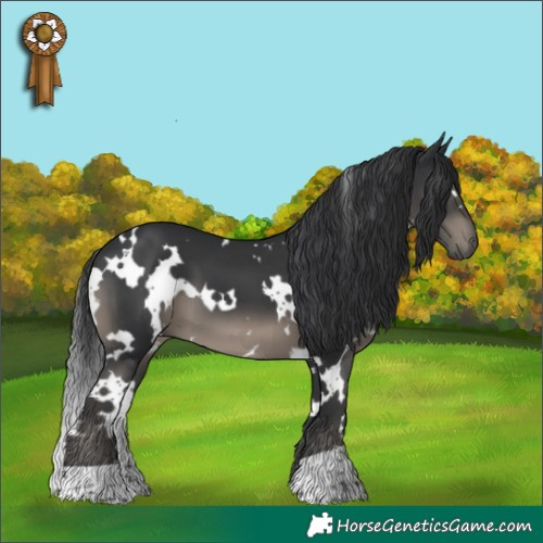 Horse Color:White Spotted Black 