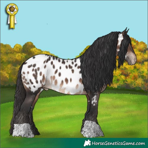 Horse Color:Brown Near Leopard 