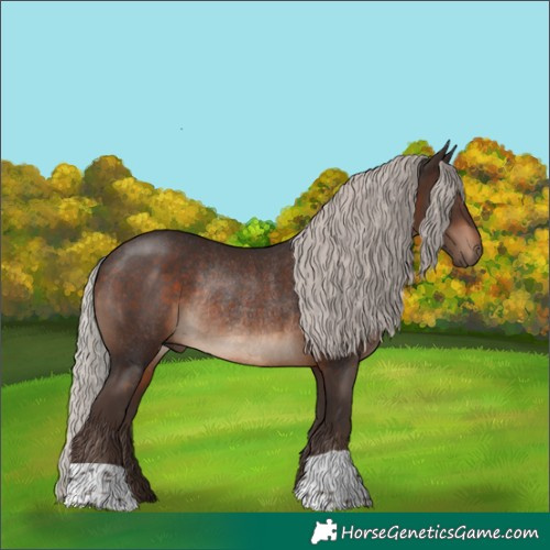 Horse Color:Silver Brown Rabicano 