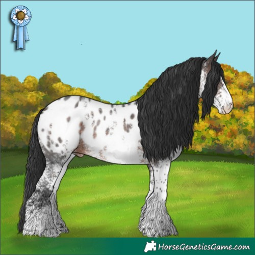 Horse Color:White Spotted Brown Appaloosa Rabicano 