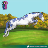 Horse Color:Watercolor White Spotted Liver Chestnut Frame Rabicano 