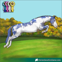 Horse Color:Watercolor White Spotted Liver Chestnut Frame Rabicano