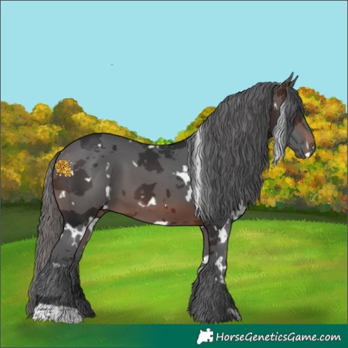 Horse Color:White Spotted Brown Merle