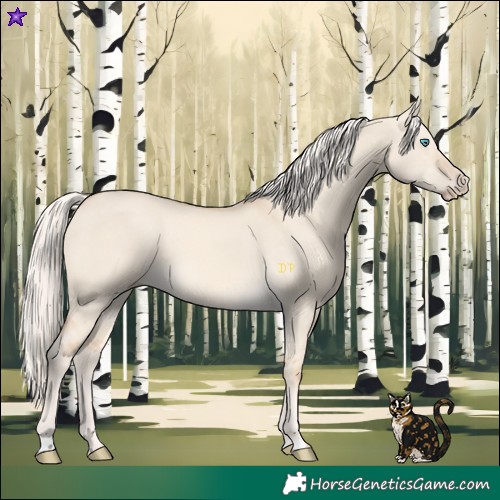 Horse Color:Cremello Dun