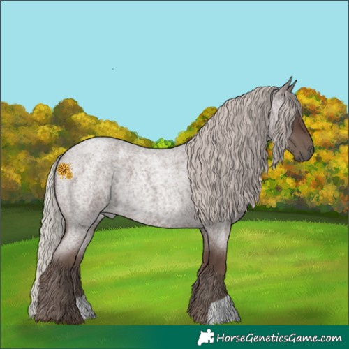 Horse Color:Silver Blue Roan