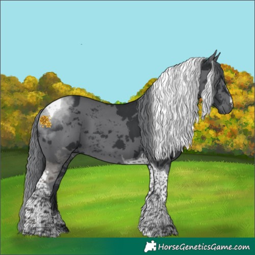 Horse Color:Black Merle Tobiano