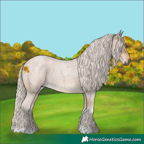 Horse Color:Gray Silver Bay Roan Dun 