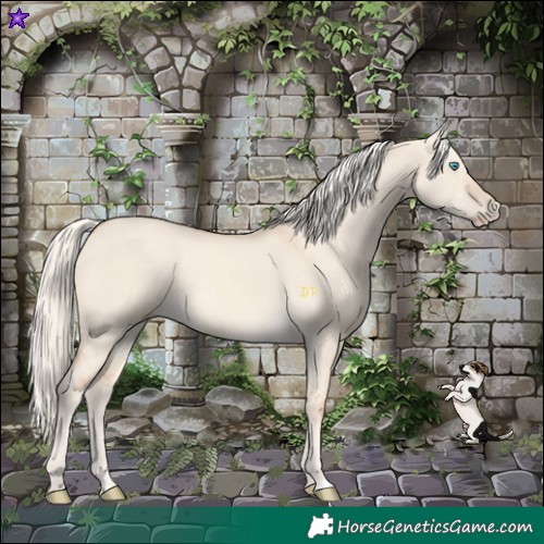 Horse Color:Cremello Dun
