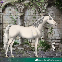 Horse Color:Cremello Dun