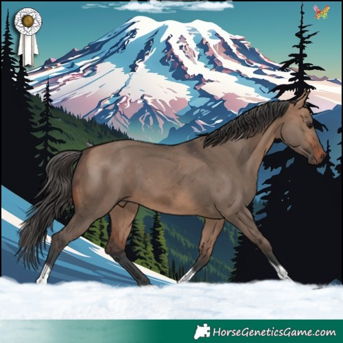 Horse Color:Bay Dun Merle Tobiano 