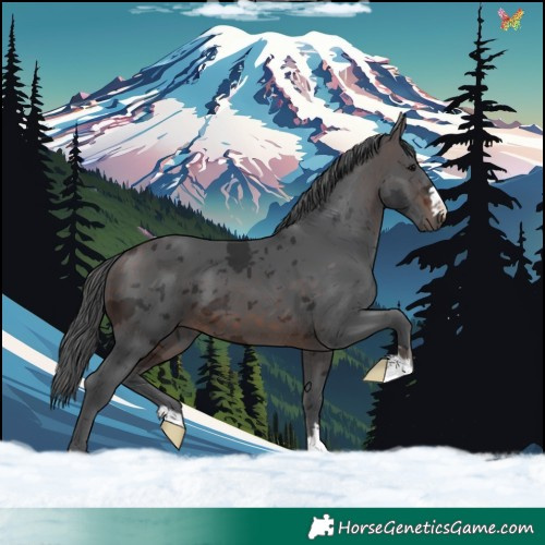 Horse Color:Brown Merle