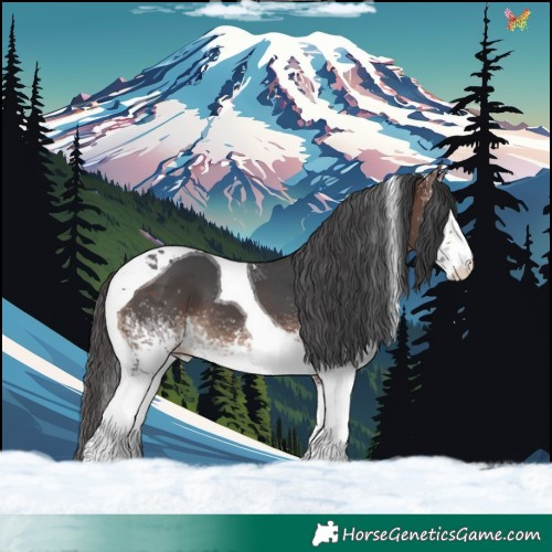 Horse Color:White Spotted Brown Merle Tobiano Appaloosa 