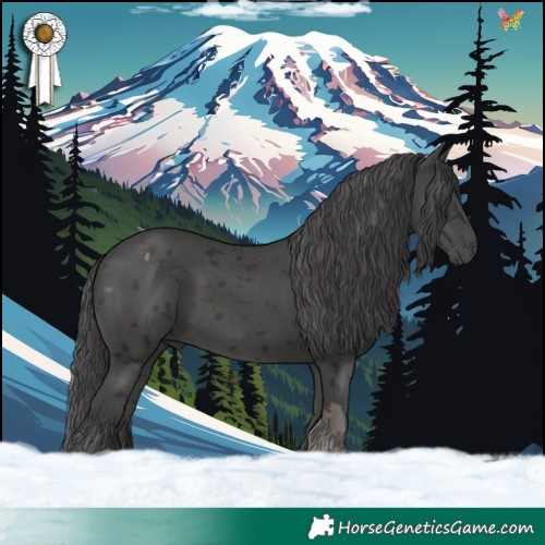 Horse Color:Smoky Black Merle
