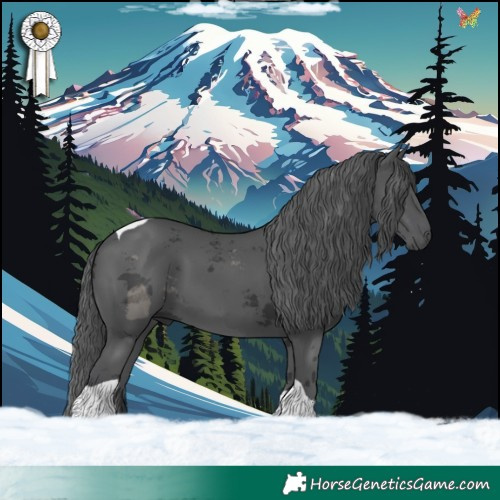 Horse Color:Black Merle Tobiano