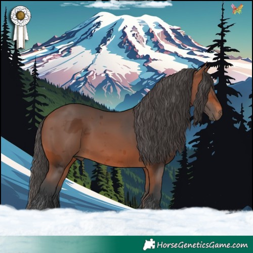 Horse Color:Bay Merle 