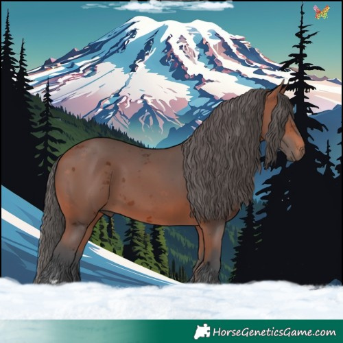 Horse Color:Bay Merle 