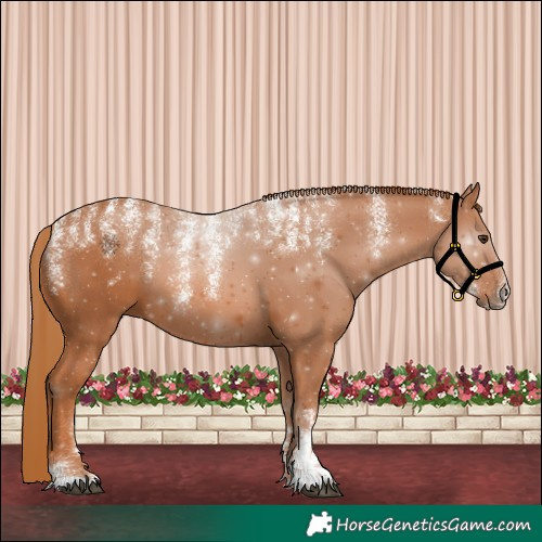 Horse Color:Powder White Chestnut