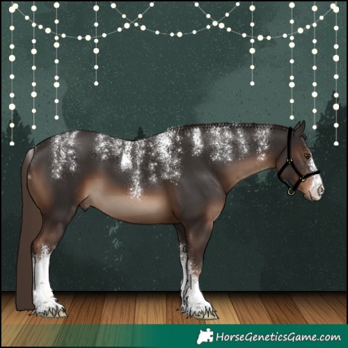 Horse Color:Powder White White Spotted Liver Chestnut