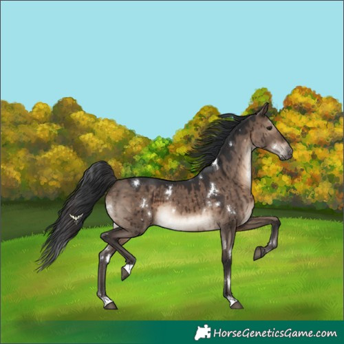 Horse Color:White Spotted Brown Dun Rabicano Brindle 