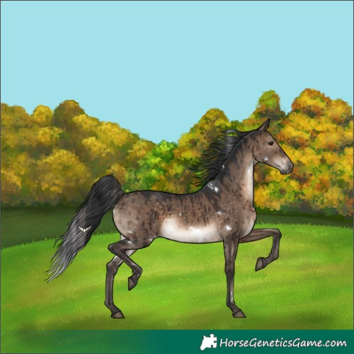 Horse Color:White Spotted Brown Dun Rabicano Brindle