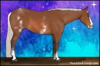 Horse Color:White Spotted Silver Bay Splash 