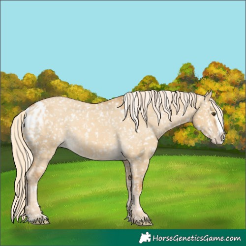 Horse Color:Palomino Dun Splash Skewed LP Spotted 