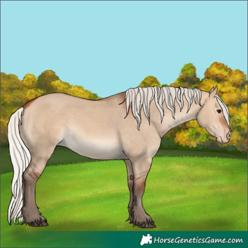 Horse Color:Silver Bay Dun Skewed LP Spotted 