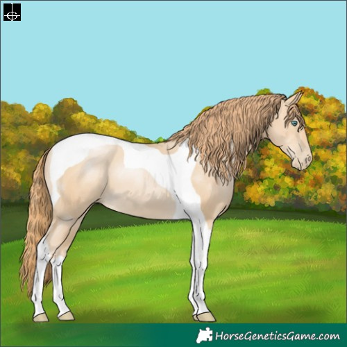 Horse Color:Smoky Black Pearl Tobiano