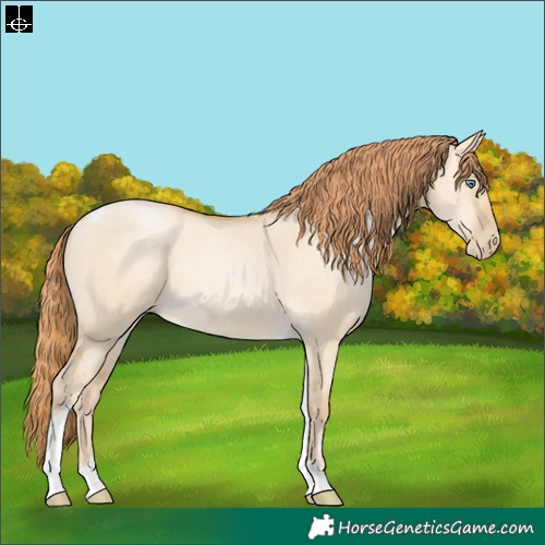Horse Color:Smoky Grullo Pearl Tobiano Rabicano 