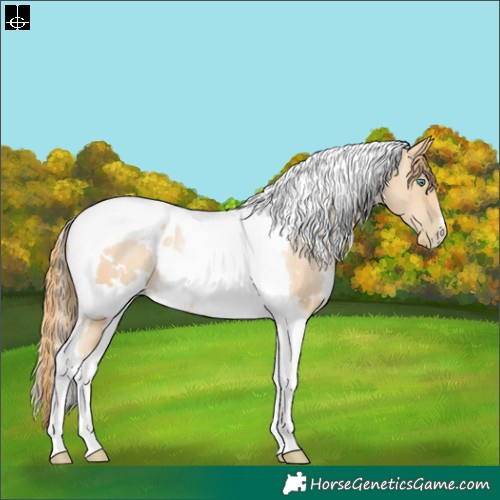 Horse Color:White Spotted Smoky Black Pearl Tobiano Rabicano 