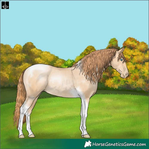 Horse Color:Buckskin Pearl Tobiano Rabicano 