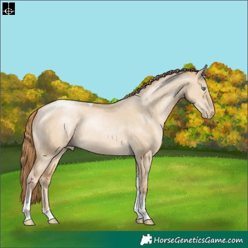 Horse Color:Smoky Grullo Pearl Tobiano 