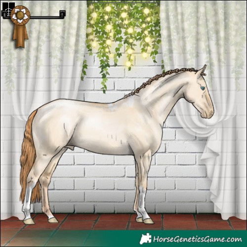 Horse Color:Smoky Grullo Pearl Tobiano Rabicano 