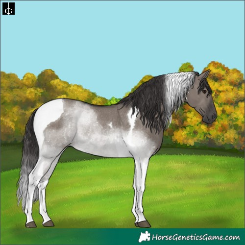 Horse Color:Smoky Grullo Tobiano Rabicano 