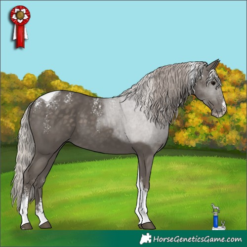 Horse Color:Powder White Silver Black Tobiano 