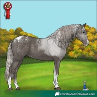 Horse Color:Powder White Silver Black Tobiano