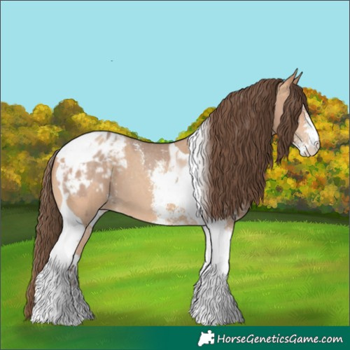 Horse Color:Amber Champagne Sabino Tobiano Appaloosa and Amber Champagne Sabino Tobiano Appaloosa