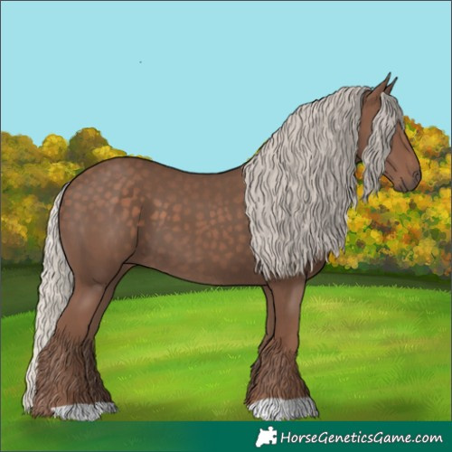 Horse Color:Silver Black 