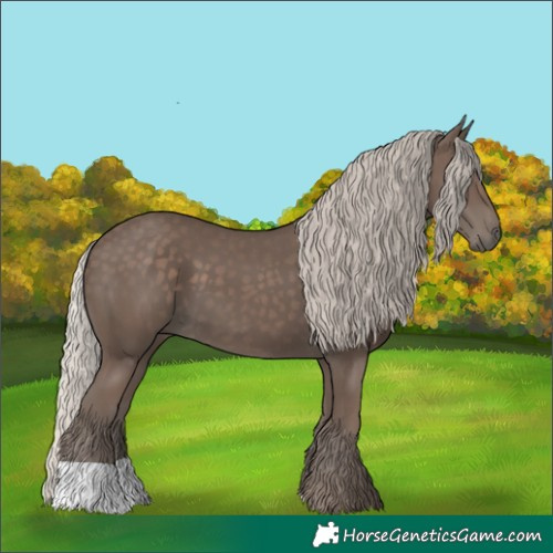 Horse Color:Silver Black 