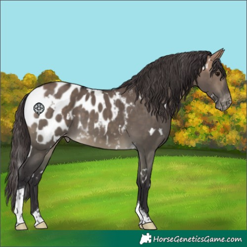 Horse Color:White Spotted Buckskin Dun Tobiano Blanket 