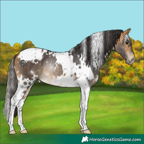 Horse Color:White Spotted Buckskin Tobiano 