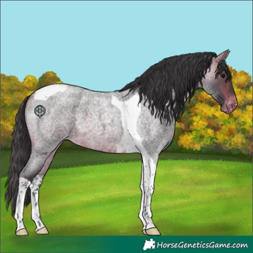 Horse Color:Bay Roan Tobiano Varnish 