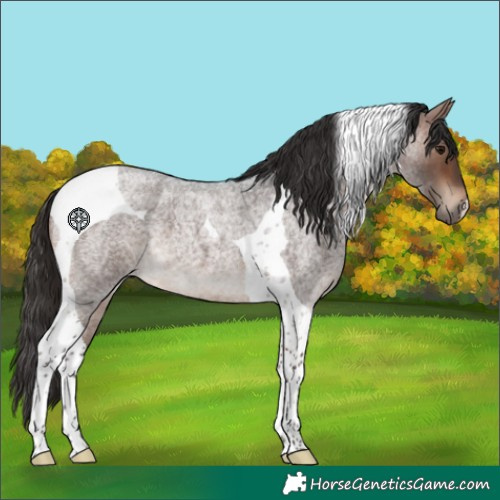Horse Color:Bay Roan Tobiano